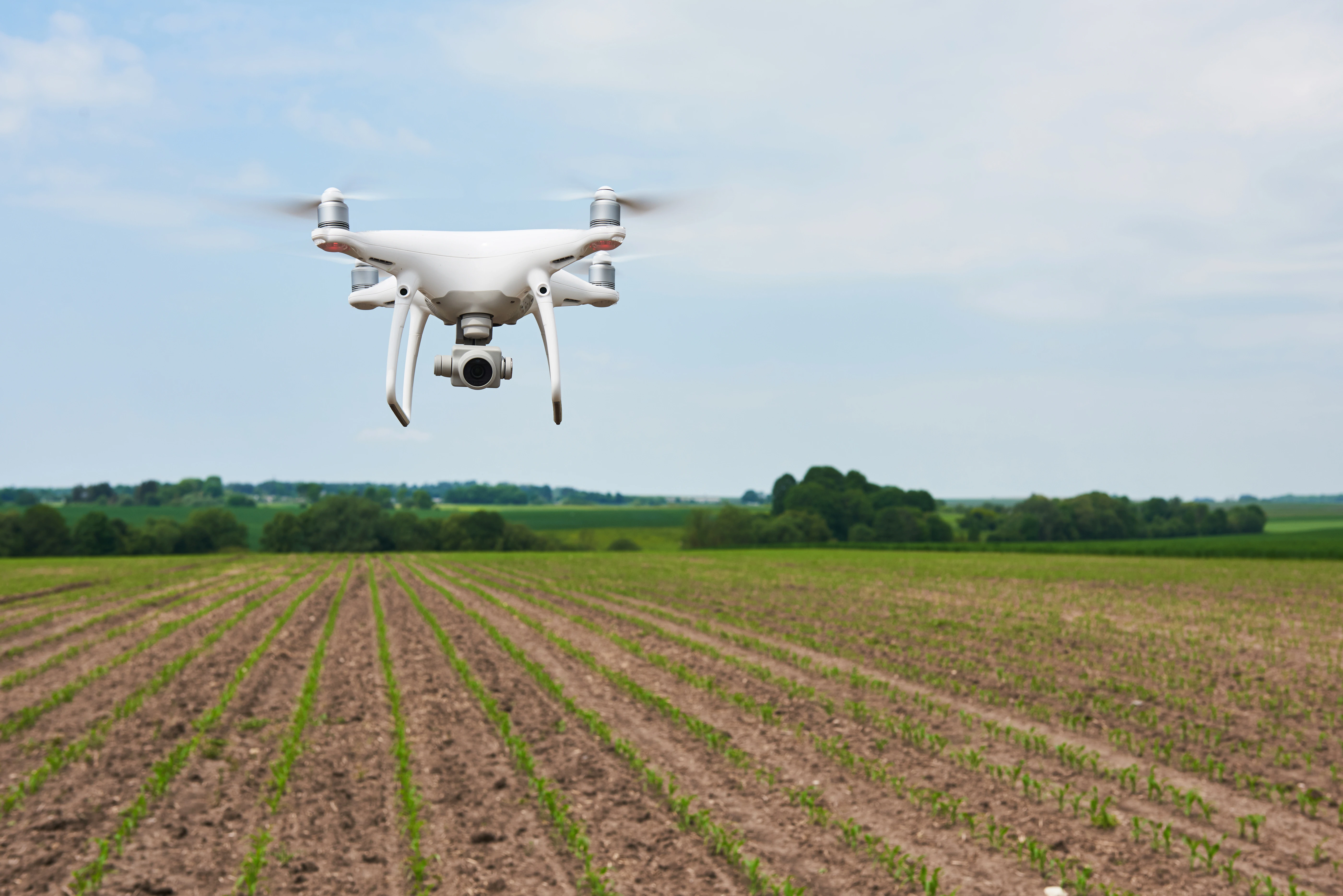 Agriculture
